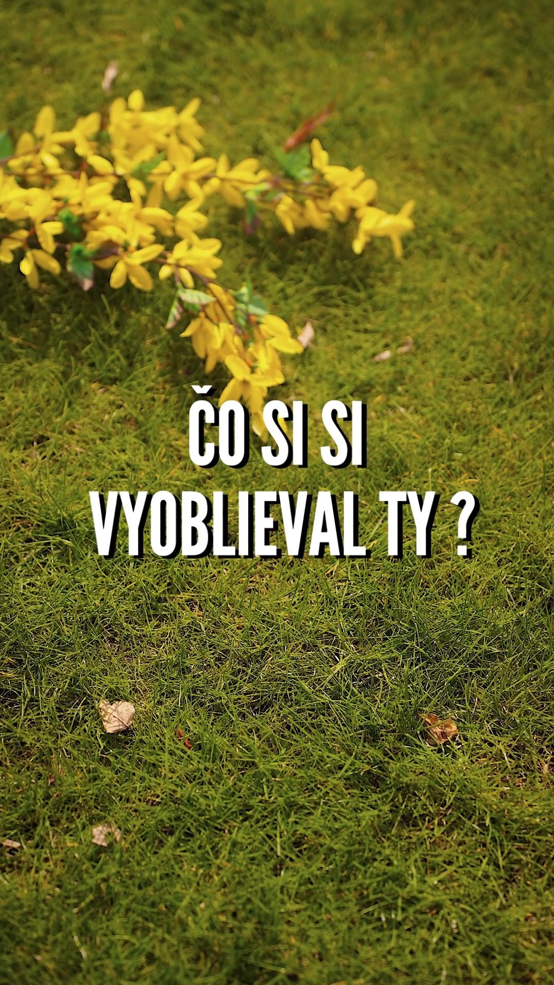 💦 Bola v pondelok polievačka? 💙
Ak áno, čo sa ti podarilo vyoblievať a dostať do košíčka? 🧺
Napíš nám to do komentára a ✨vyhraj štýlovú fľašku Czechoslovakia Vodka – tradícia, ktorá nikdy nevyjde z módy! 🥃🇸🇰

🎯 Ako na to?
1️⃣ Napíš do komentára, čo si dostal na pondelkovej polievačke 🐣
2️⃣ Sleduj profil 👉 @czechoslovakiavodka
3️⃣ Označ kamoša/kamošku, ktorý si tiež rád spomenie, čo získal 💬👥

🗓️ Výhercu losujeme o týždeň! Nezabudni sledovať našu stránku 📢

🧊 Pripravení na tradičnú zábavu? Tak šup do komentárov! 🎉👇

#czskvodka #czechoslovakiavodka #sutaz #velkanoc #oblievacka
